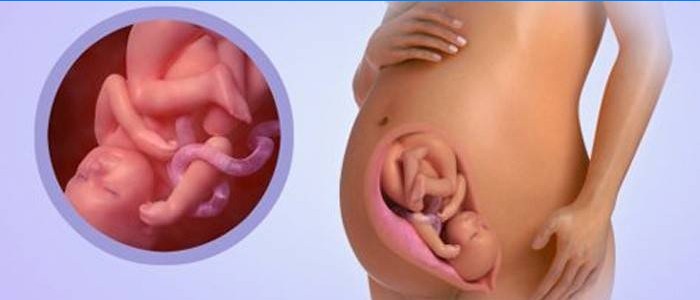 cesme kucultmek adaylik 36 gebelik haftasinda bebek hareketleri kvkgwalior com