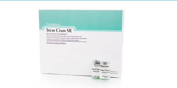 Stem C’rum SR