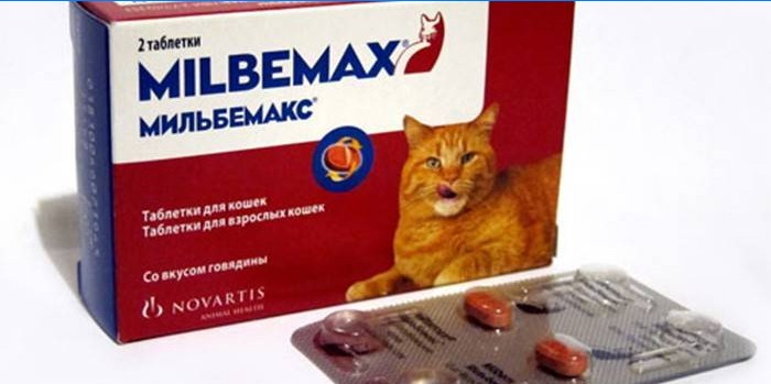 Kediler için haplar Milbemax pakette