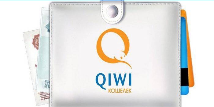 Qiwi logosu cüzdan para ve kartlar
