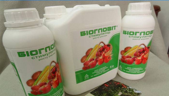 Bioglovit Ürünleri