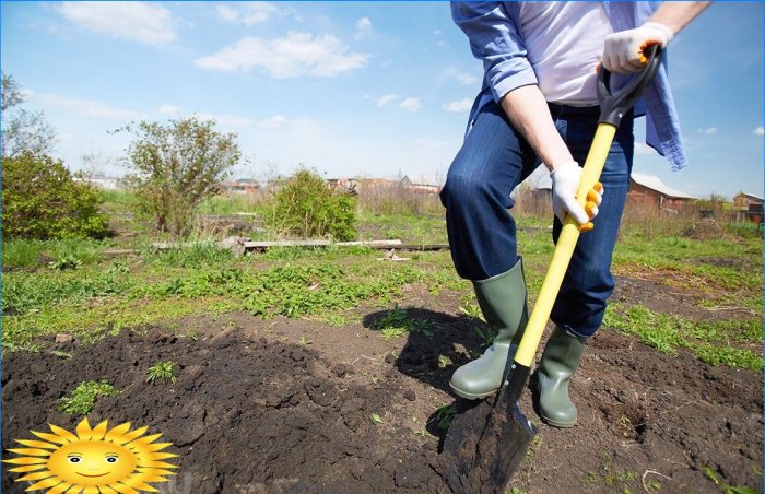 Toprak yapısı nasıl iyileştirilir ve verimliliği nasıl artırılır