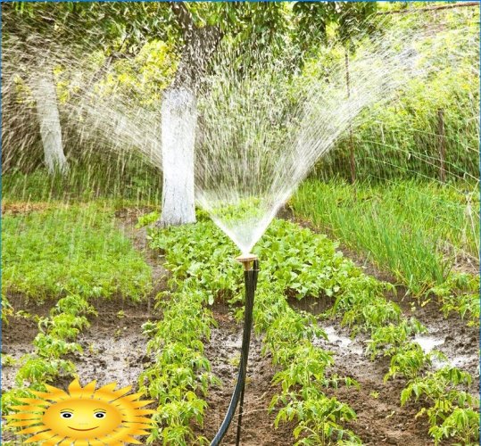 Otomatik bahçe sulama sistemi