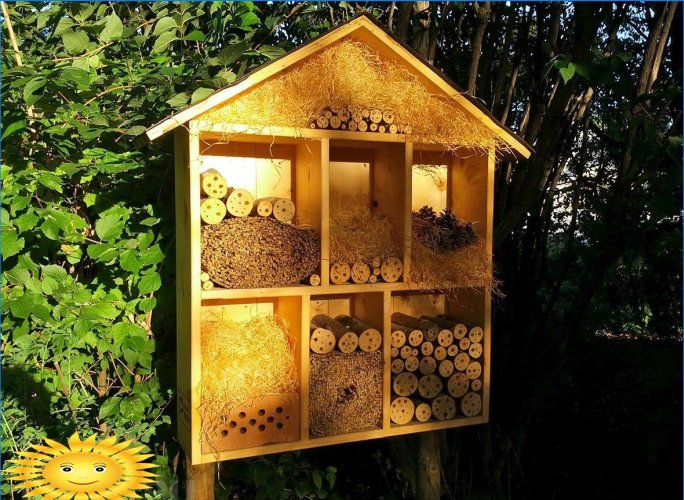 Arılar için ev