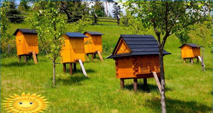 Arılar için ahşap evler