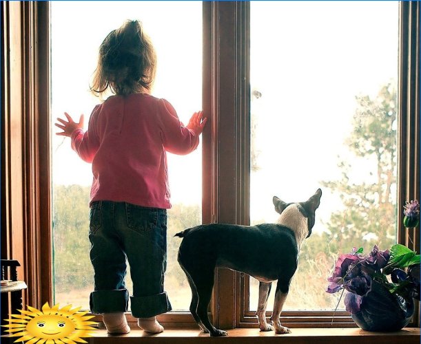 Çocuklar ve evcil hayvanlar için pencere koruması