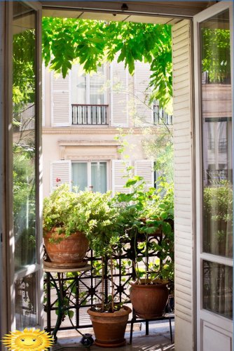 Fransız balkon: çeşitleri, özellikleri, düzenlemesi