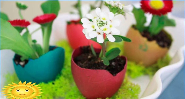 Paskalya dekoru: parlak bir bahar tatiline hazırlanıyor